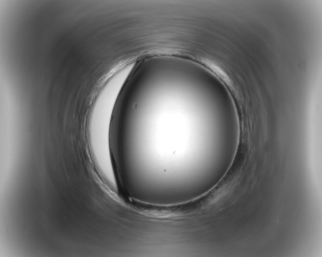 X0000085790389200704091434