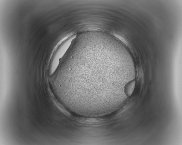 X0000085790390200704091434
