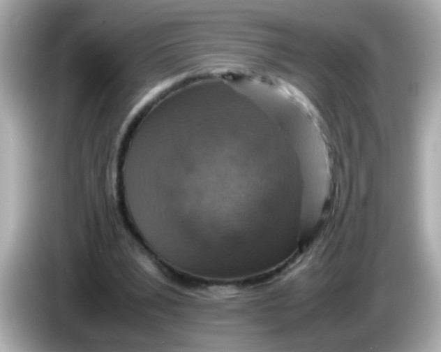 X0000085790391200704091434