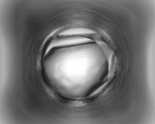 X0000085790392200704091434
