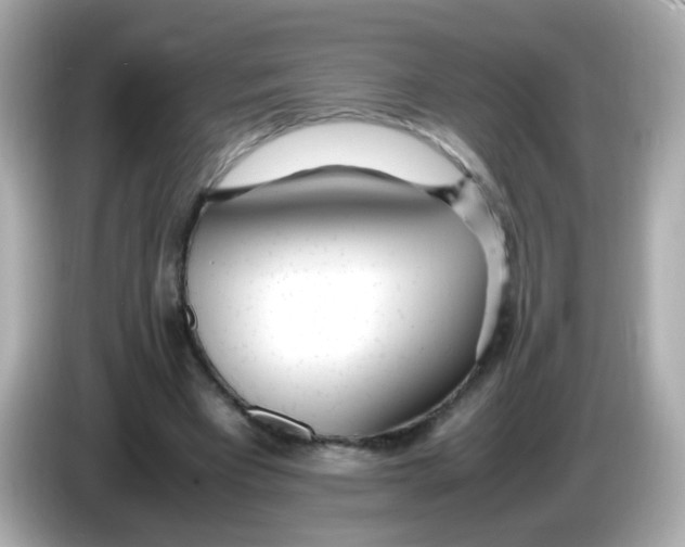 X0000085790393200704091434