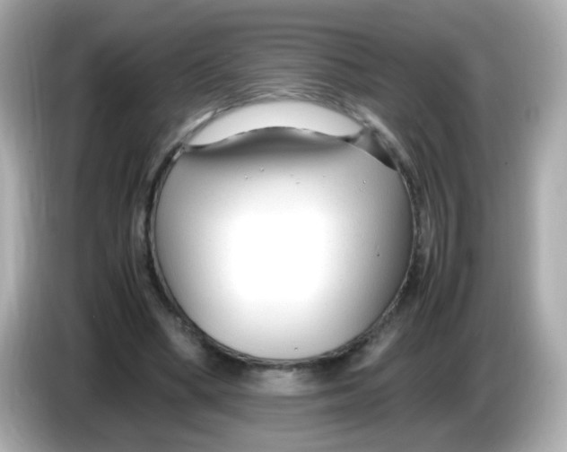 X0000085790394200704091434