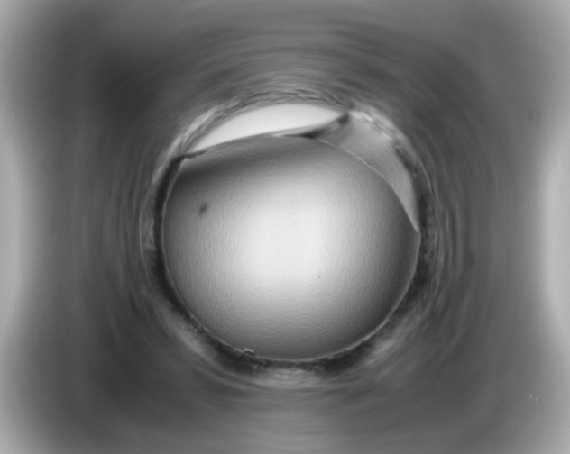X0000085790399200704091434