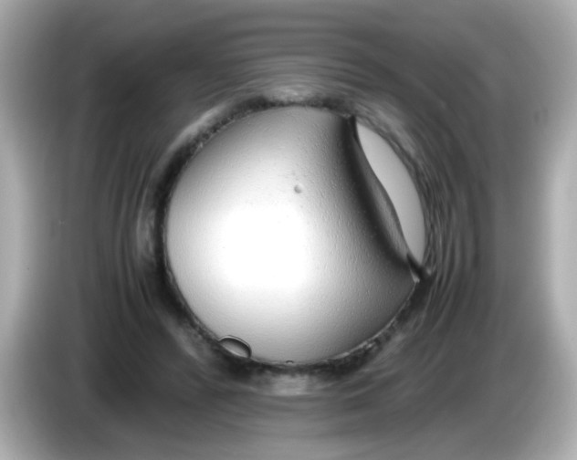 X0000085790400200704091434