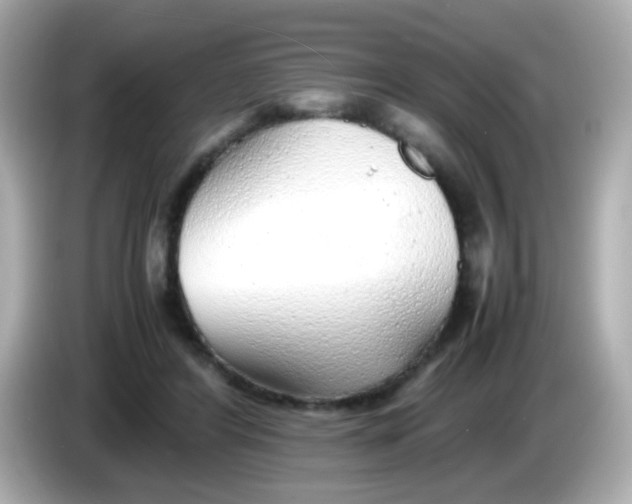X0000085790404200704091434