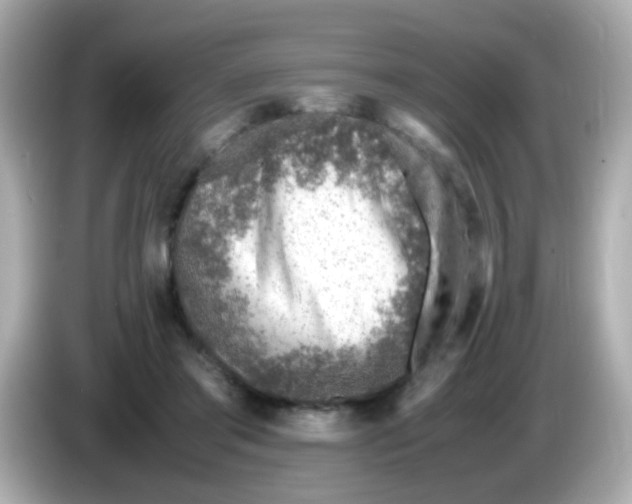 X0000085790405200704091434