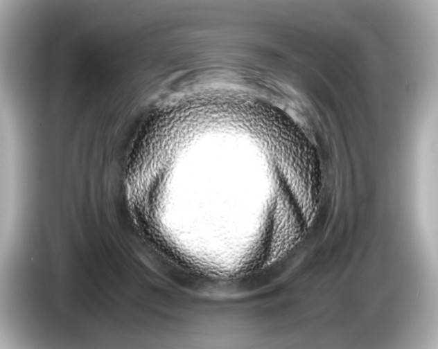 X0000085790409200704091434