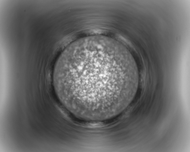 X0000085790410200704091434