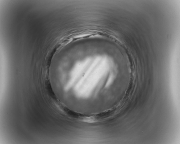 X0000085790411200704091434
