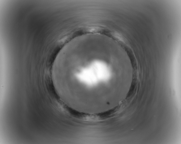 X0000085790415200704091434