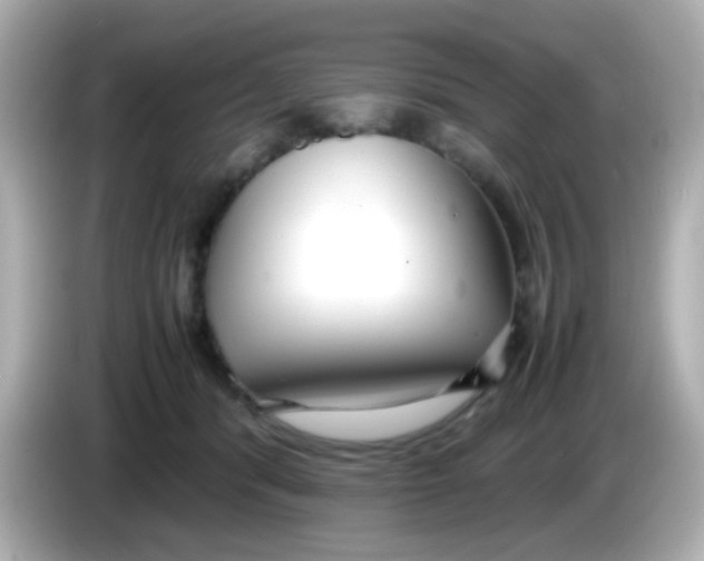 X0000085790416200704091434