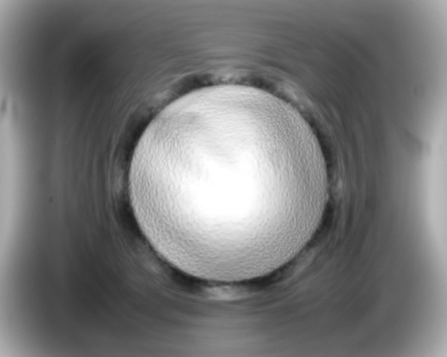 X0000085790417200704091434