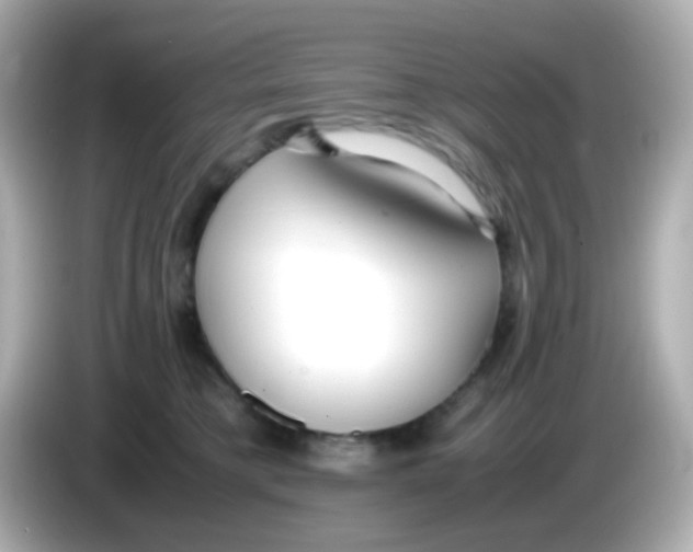 X0000085790421200704091434