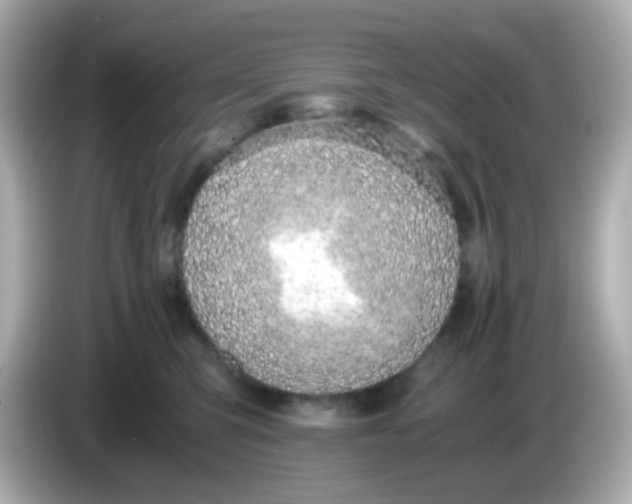 X0000085790423200704091434