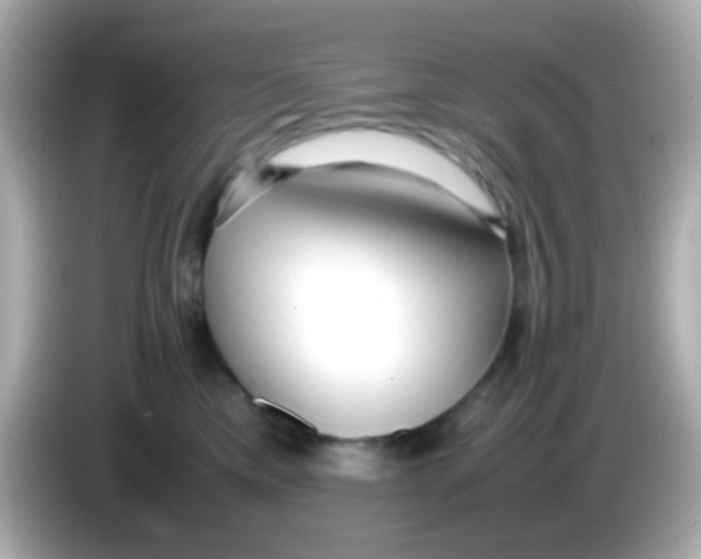 X0000085790425200704091434