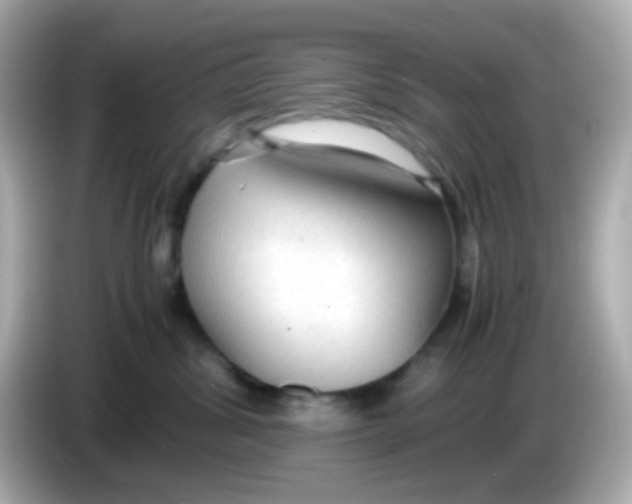 X0000085790428200704091434