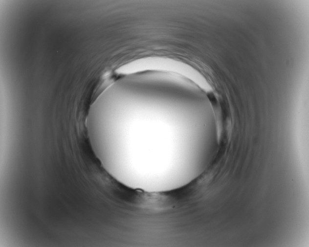 X0000085790429200704091434