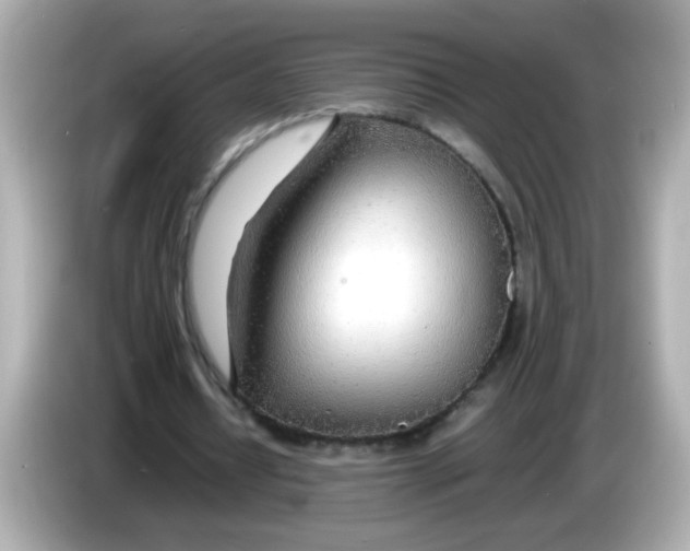 X0000085790434200704091433