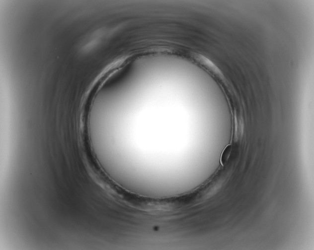 X0000085790435200704091433