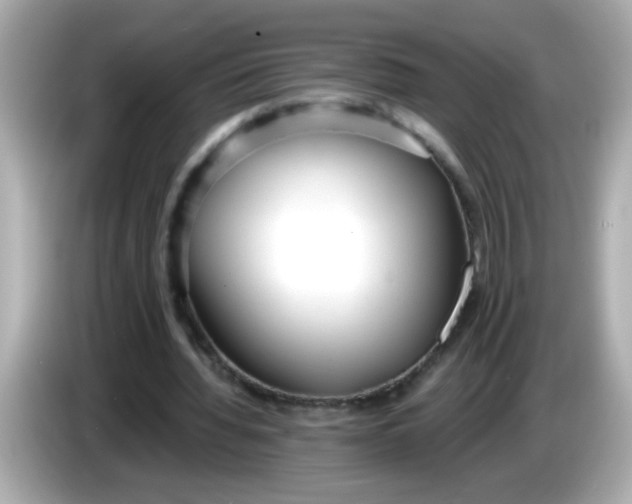 X0000085790436200704091433