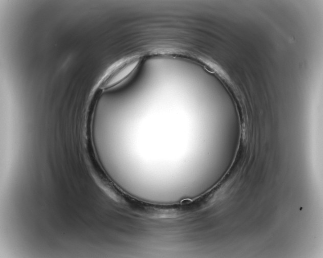 X0000085790438200704091433
