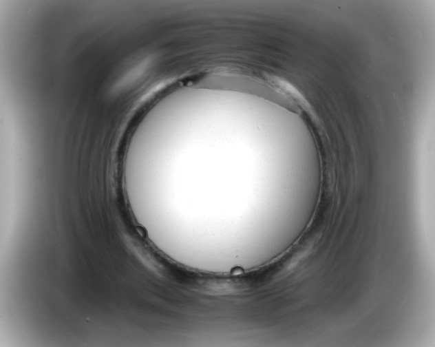 X0000085790439200704091433