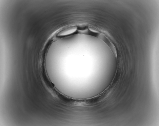 X0000085790440200704091433