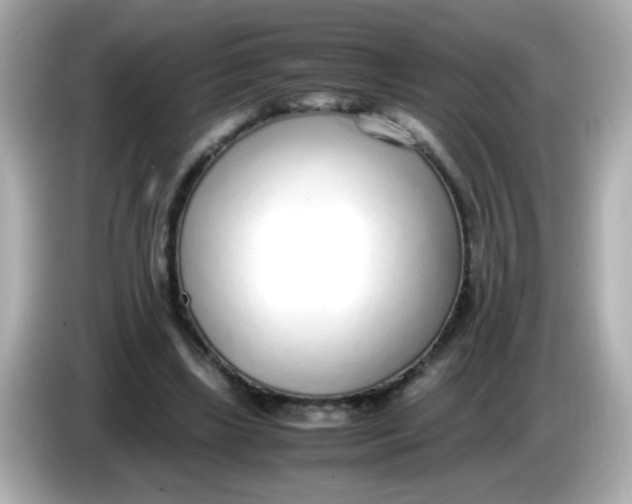 X0000085790443200704091433