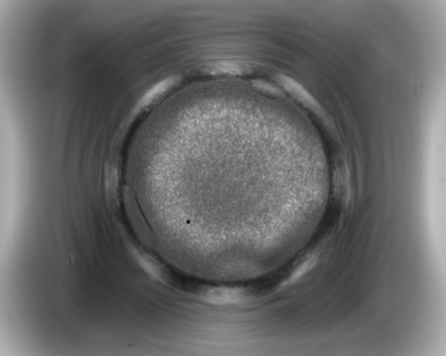 X0000085790444200704091433