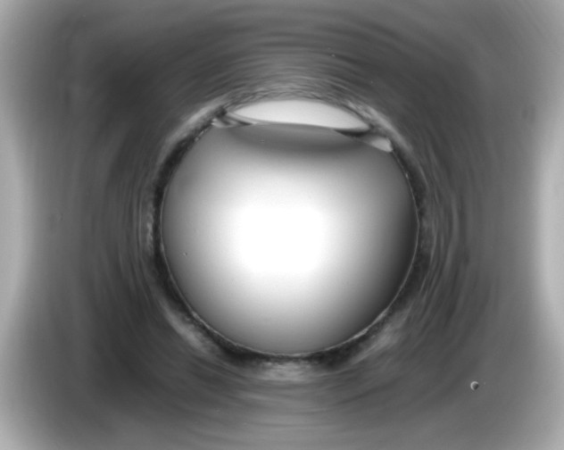 X0000085790446200704091433