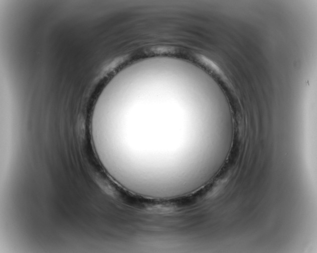 X0000085790447200704091433