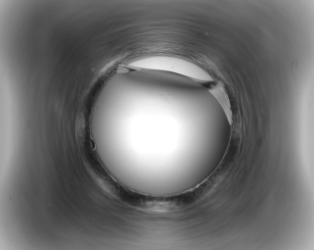 X0000085790448200704091433