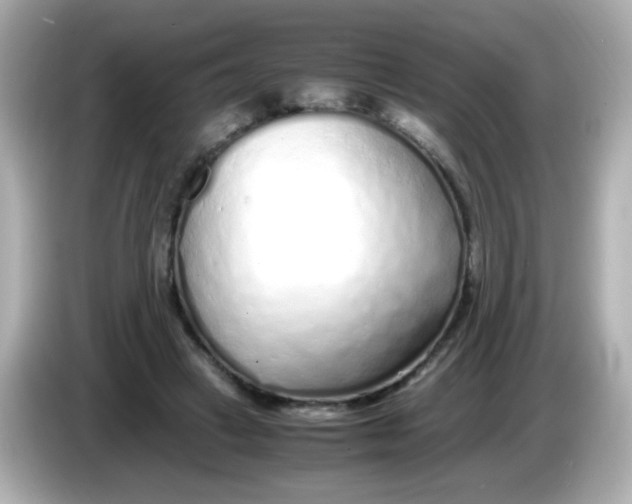 X0000085790449200704091433