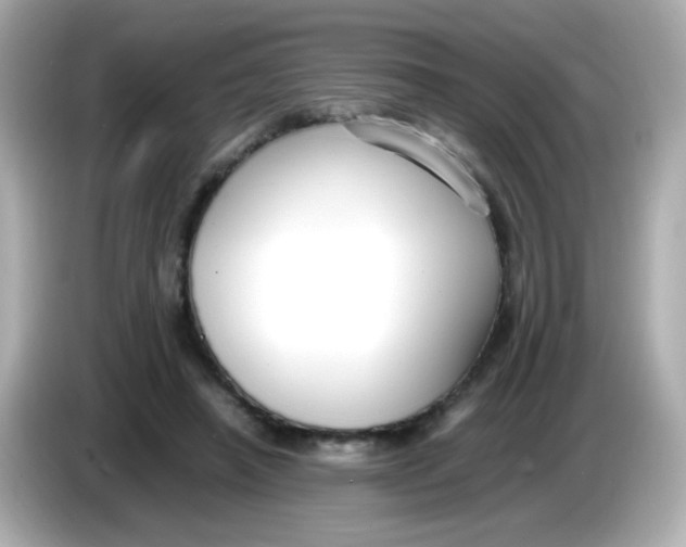 X0000085790450200704091433