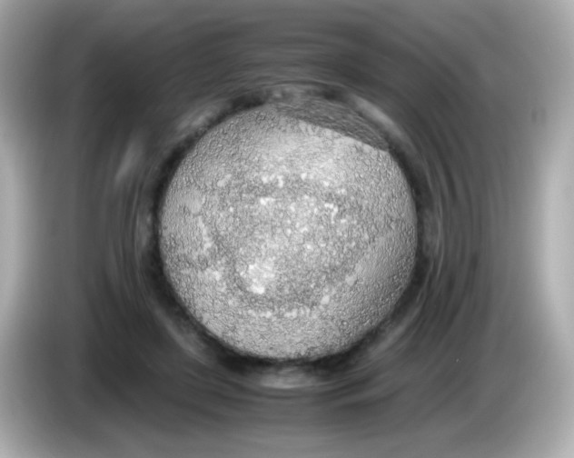 X0000085790451200704091433