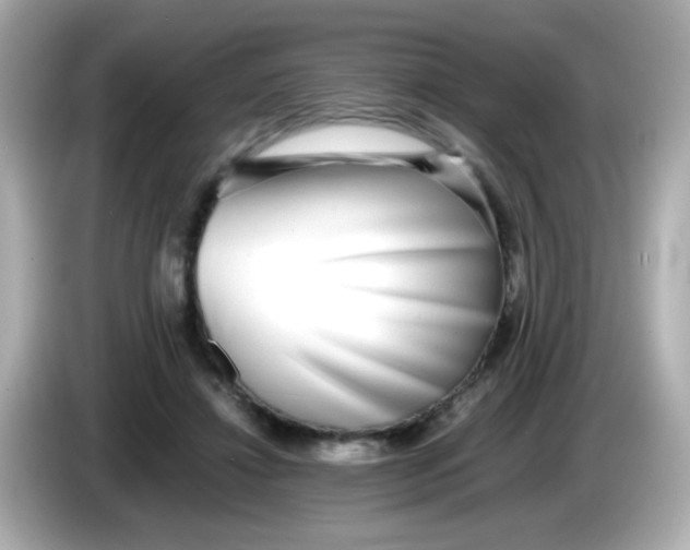 X0000085790452200704091433
