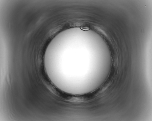 X0000085790455200704091433