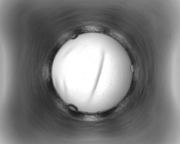 X0000085790457200704091433