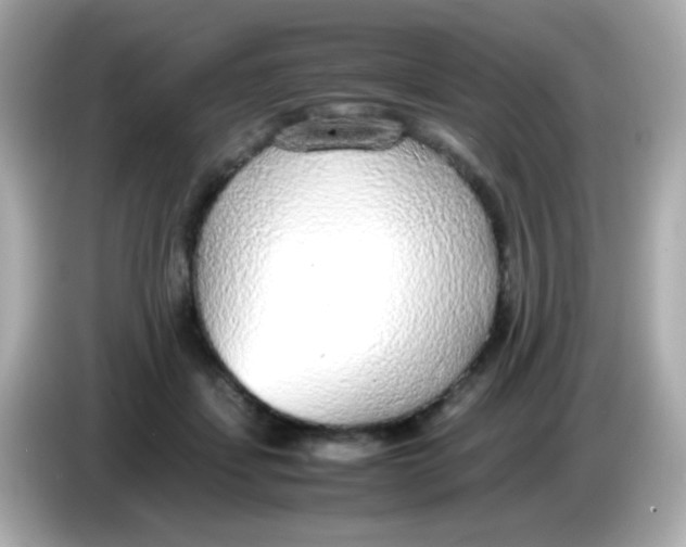 X0000085790459200704091433