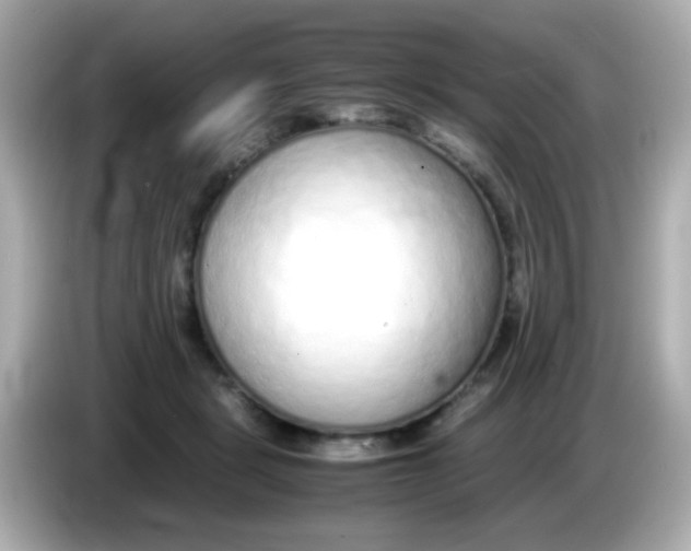 X0000085790461200704091433
