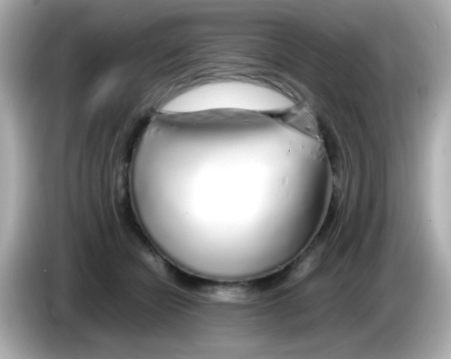 X0000085790462200704091433