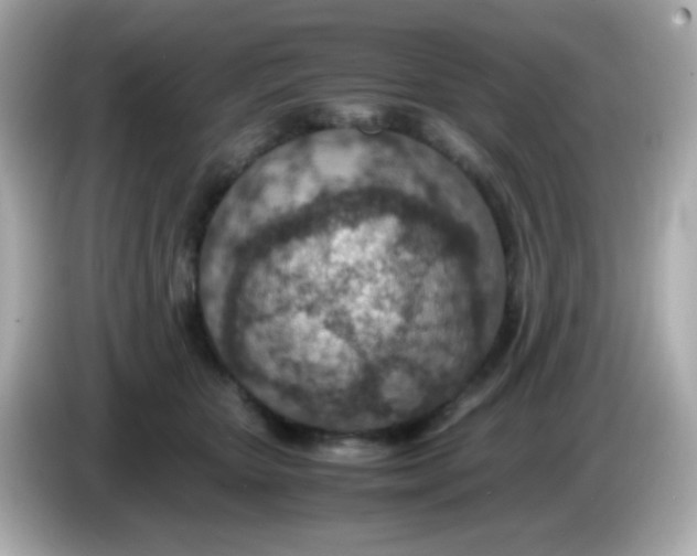 X0000085790467200704091433