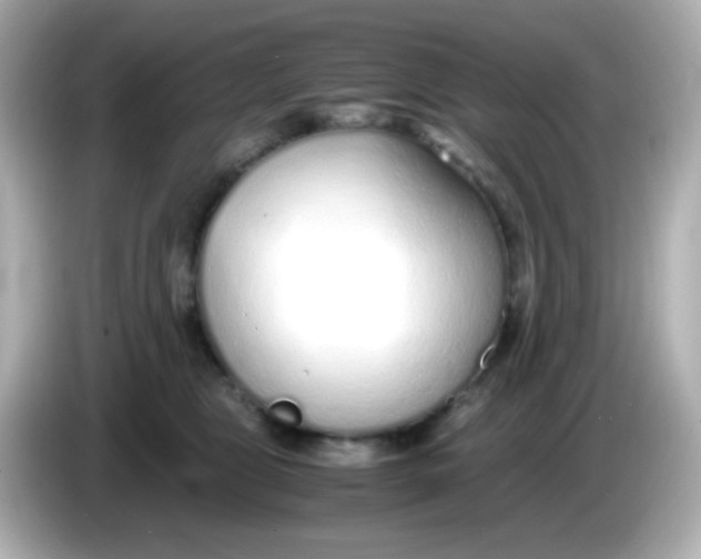 X0000085790469200704091434