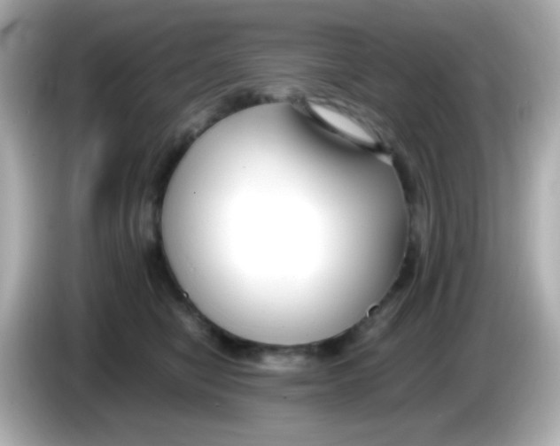 X0000085790470200704091434