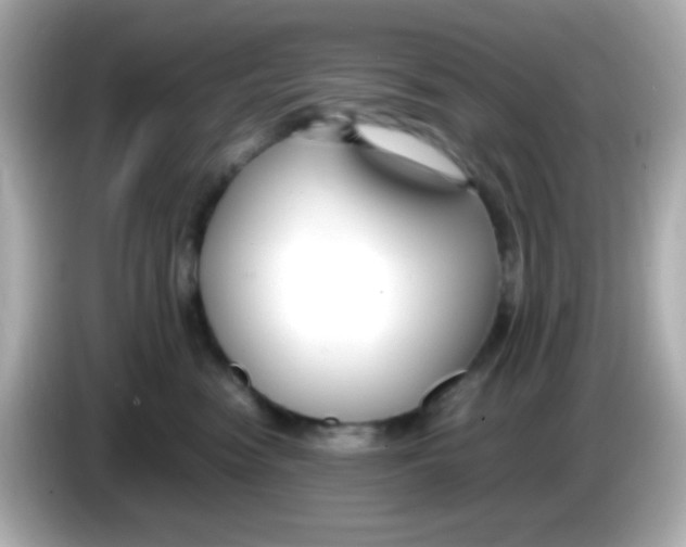 X0000085790474200704091434