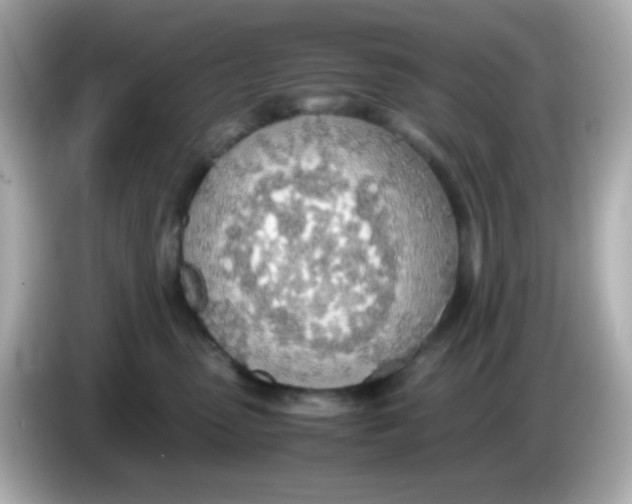 X0000085790475200704091434