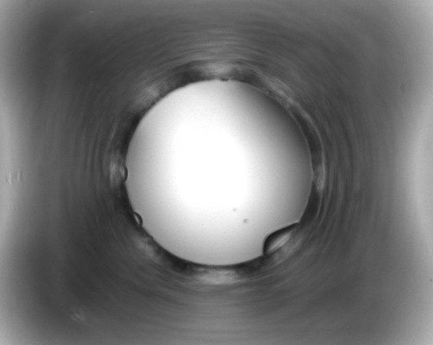 X0000085790476200704091434