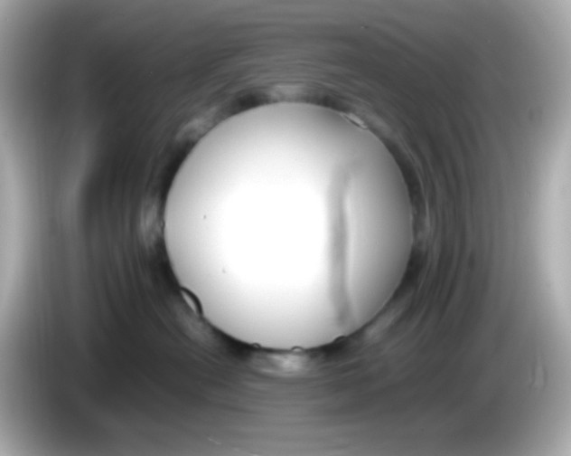 X0000085790478200704091434