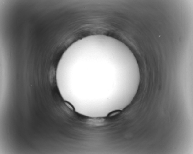 X0000085790480200704091434