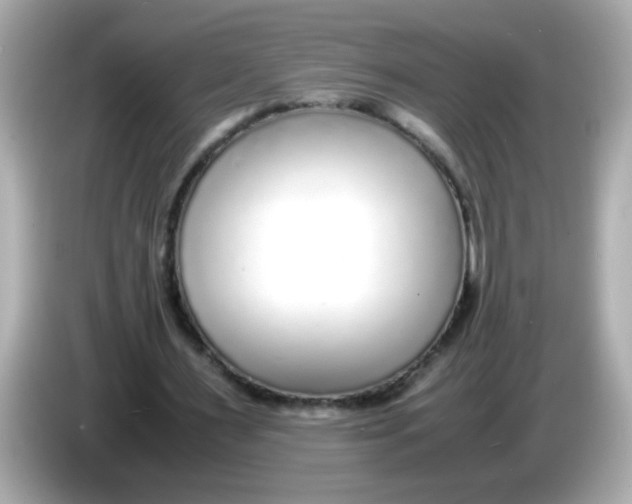 X0000085790483200704091433
